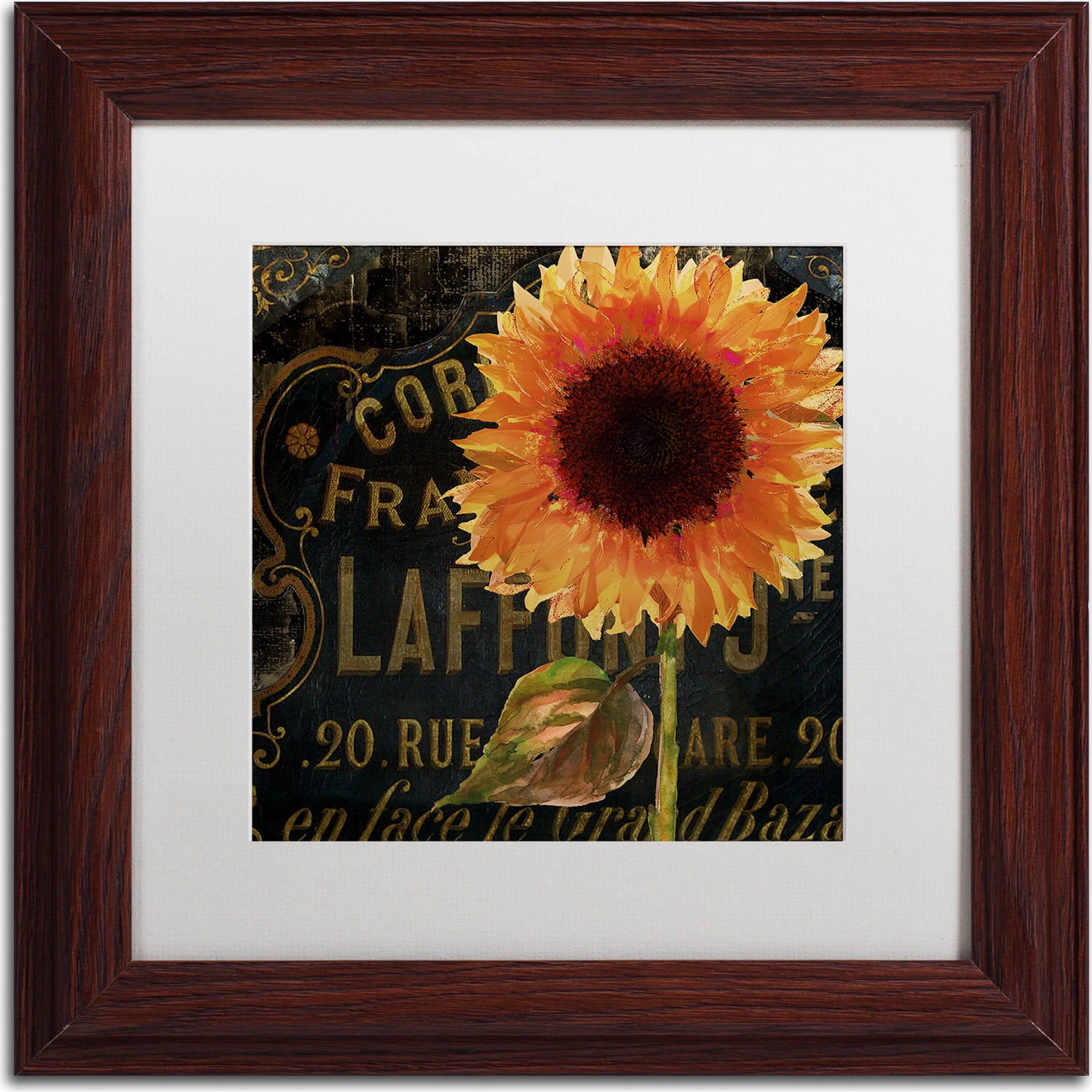 Trademark Fine Art "Sunflower Salon II" Canvas Art by Color Bakery, White Matte, Wood Frame