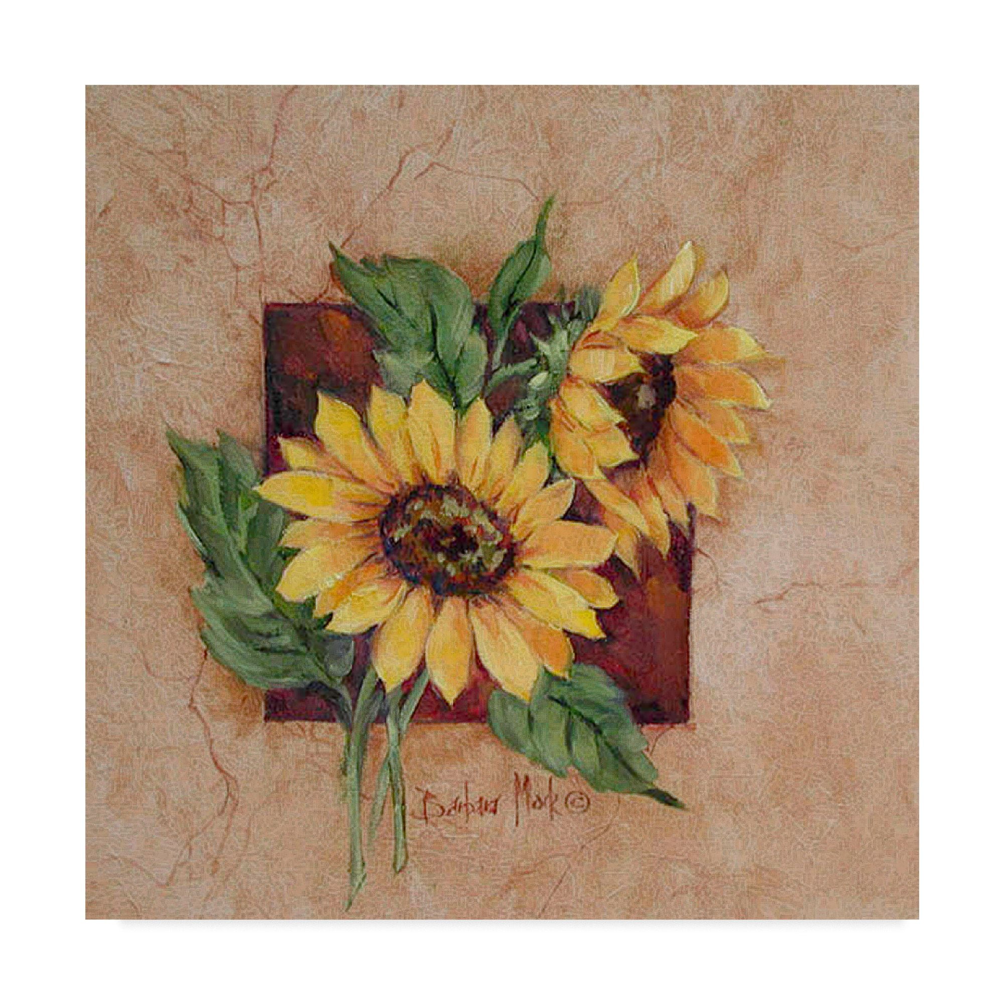 Trademark Fine Art ' Sunflower Square' Canvas Art by Barbara Mock