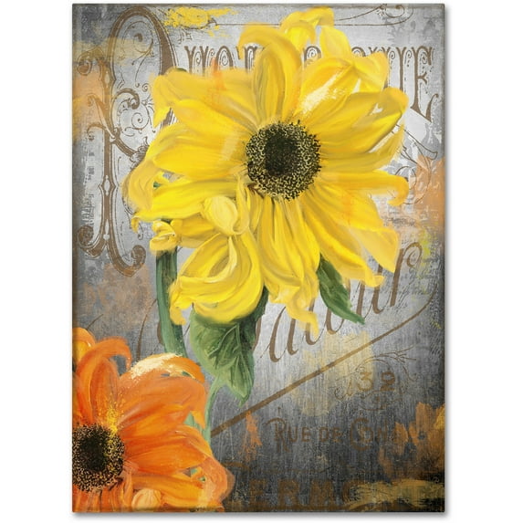 Trademark Fine Art "Sunflower Studio" Canvas Art by Color Bakery