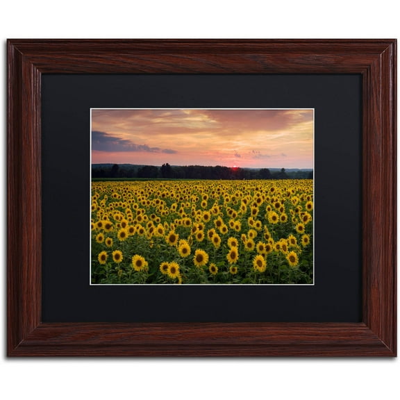 Trademark Fine Art "Sunflower Taps" Canvas Art by Michael Blanchette Photography Black Matte, Wood Frame