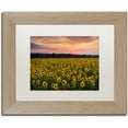 thumbnail image 1 of Trademark Fine Art "Sunflower Taps" Canvas Art by Michael Blanchette Photography White Matte, Birch Frame, 1 of 1