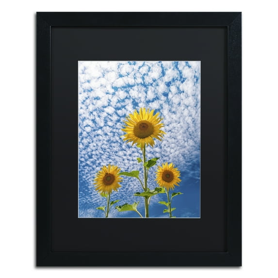 Trademark Fine Art 'Sunflower Triad' Black Framed Art by Michael Blanchette Photography
