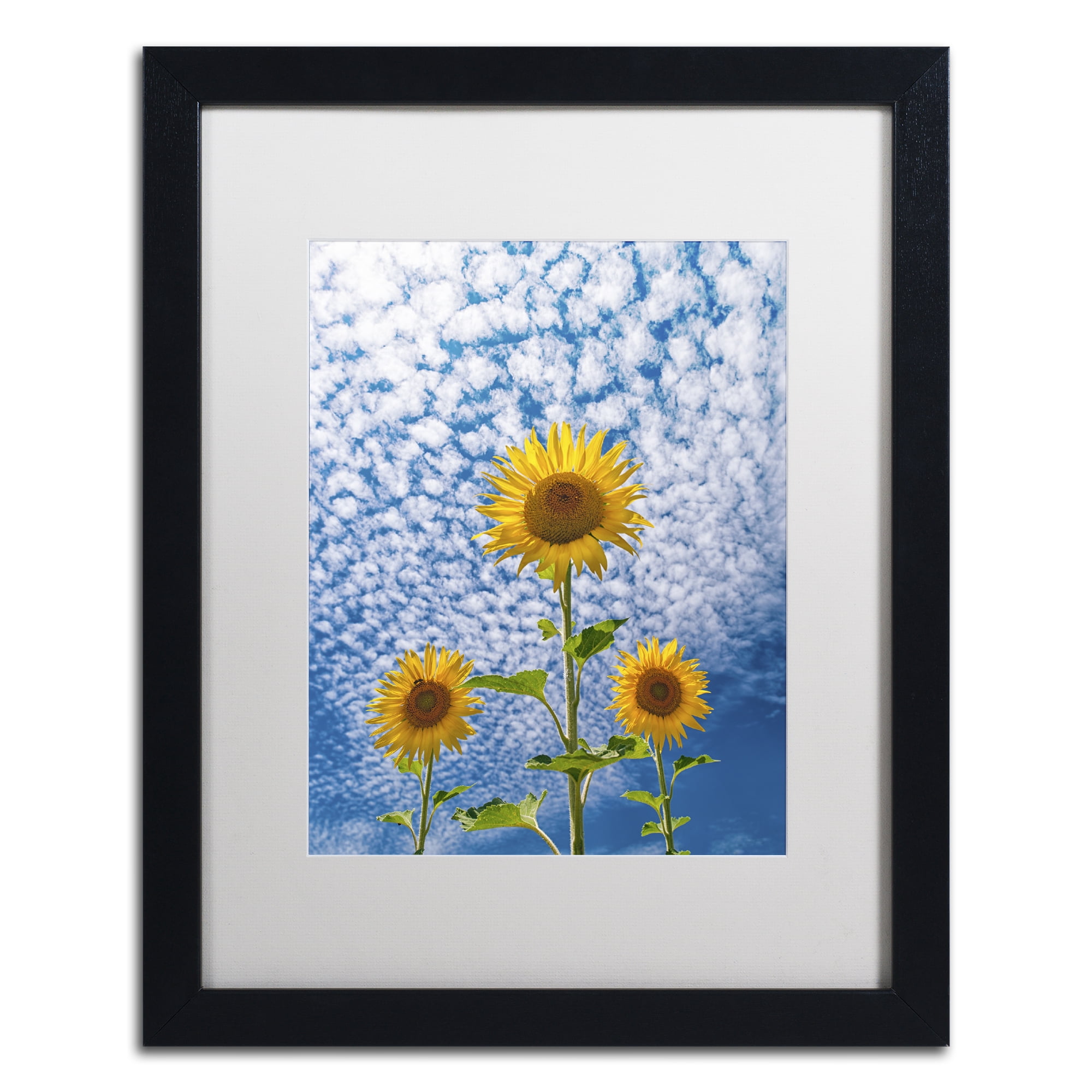 Trademark Fine Art 'Sunflower Triad' Black Framed Art by Michael Blanchette Photography
