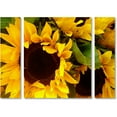 thumbnail image 1 of Amy Vangsgard 'Sunflowers' Multi Panel Art Set Small, 1 of 4