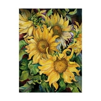 Trademark Fine Art 'Sunflowers' Canvas Art by Joanne Porter