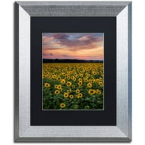 Trademark Fine Art "Sunflowers" Canvas Art by Michael Blanchette Photography Black Matte, Silver Frame