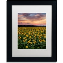 Trademark Fine Art "Sunflowers" Canvas Art by Michael Blanchette Photography White Matte, Black Frame