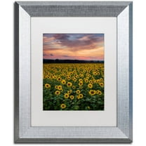 Trademark Fine Art "Sunflowers" Canvas Art by Michael Blanchette Photography White Matte, Silver Frame