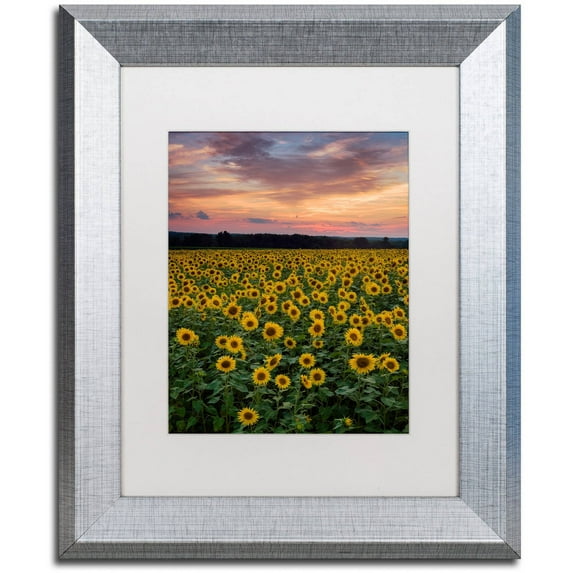 Trademark Fine Art "Sunflowers" Canvas Art by Michael Blanchette Photography White Matte, Silver Frame