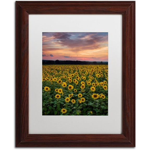 Trademark Fine Art "Sunflowers" Canvas Art by Michael Blanchette Photography White Matte, Wood Frame