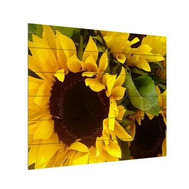 Trademark Fine Art 'Sunflowers' Wooden Wall Art Art by Amy Vangsgard