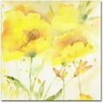 thumbnail image 1 of Trademark Fine Art "Sunlight Blooming" Canvas Art by Sheila Golden, 1 of 3