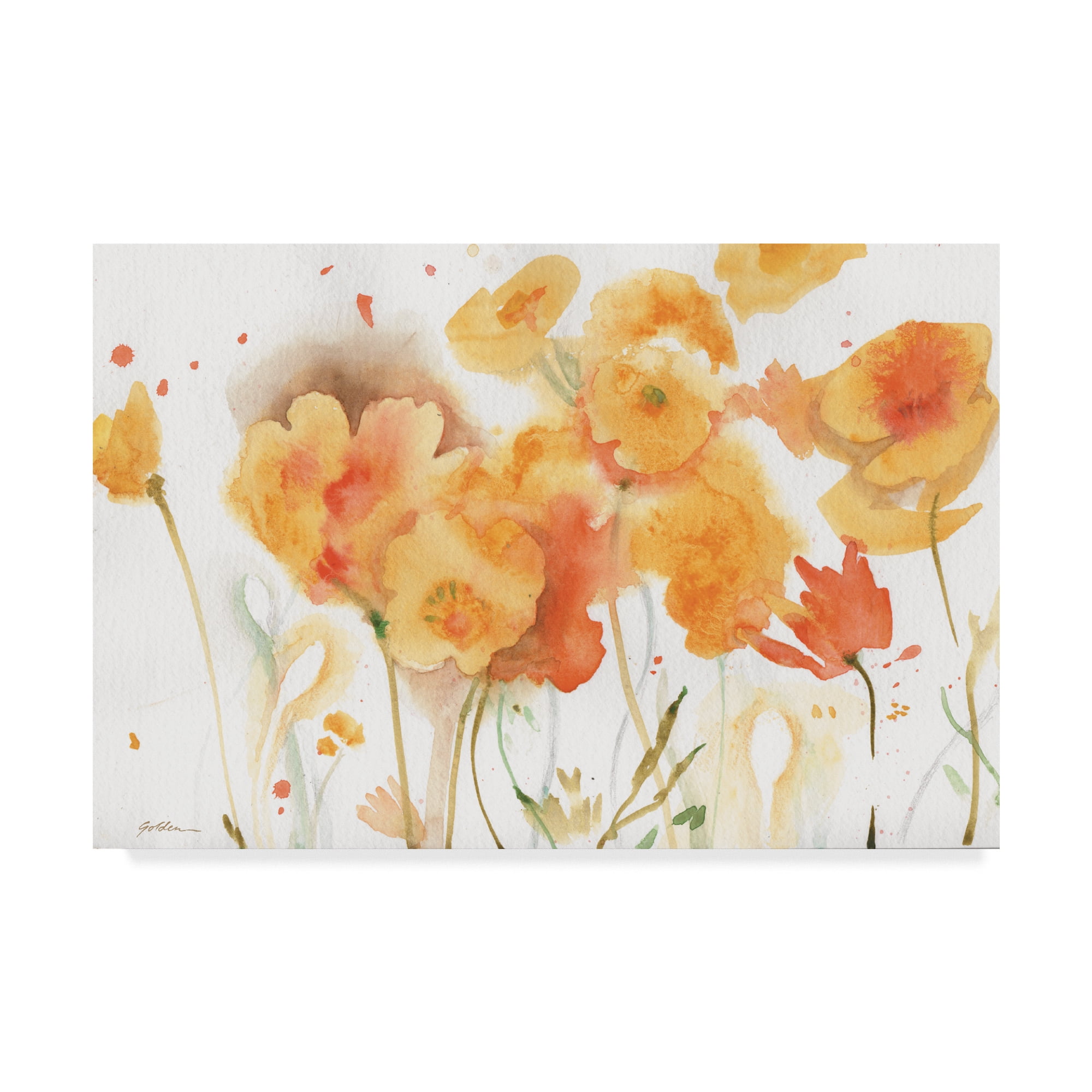 Trademark Fine Art 'Sunlight Poppies' Canvas Art by Sheila Golden