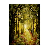 Trademark Fine Art 'Sunlit Forest Path' Canvas Art by Cherie Roe Dirksen