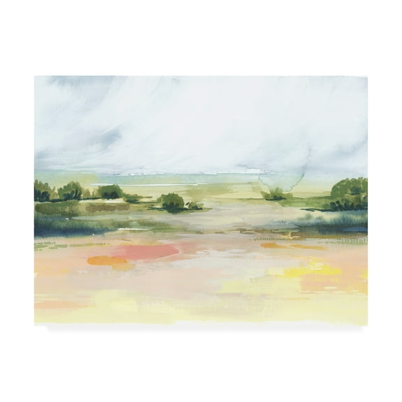 Trademark Fine Art 'Sunlit Marsh I' Canvas Art by Grace Popp