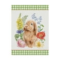 thumbnail image 1 of Trademark Fine Art 'Sunny Bunny I Checker Border' Canvas Art by Mary Urban, 1 of 3