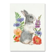 Trademark Fine Art 'Sunny Bunny IV FB' Canvas Art by Mary Urban