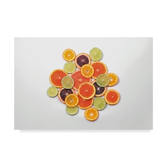 Trademark Fine Art 'Sunny Citrus II' Canvas Art by Felicity Bradley