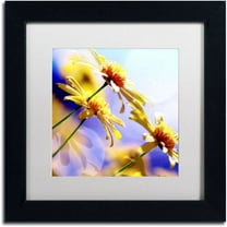 Trademark Fine Art "Sunny Days" Canvas Art by Beata Czyzowska Young White Matte, Black Frame