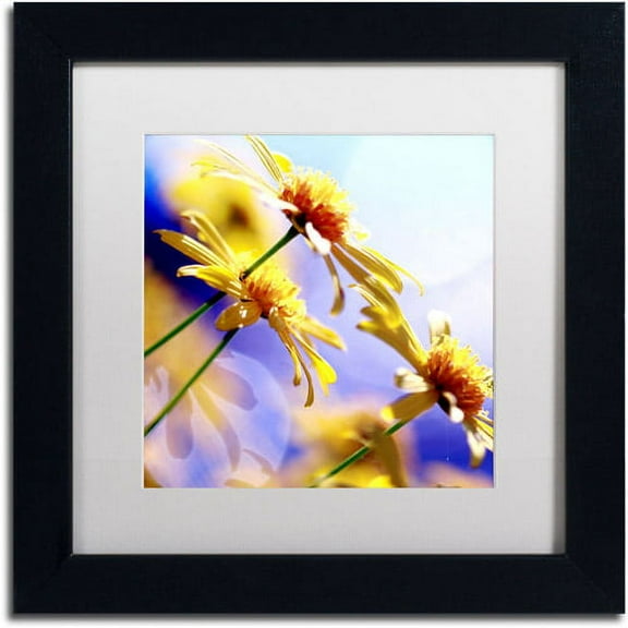 Trademark Fine Art "Sunny Days" Canvas Art by Beata Czyzowska Young White Matte, Black Frame