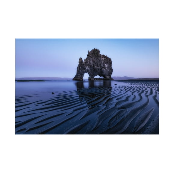 Trademark Fine Art Sunny Ding Rhino Rock Canvas Wall Art