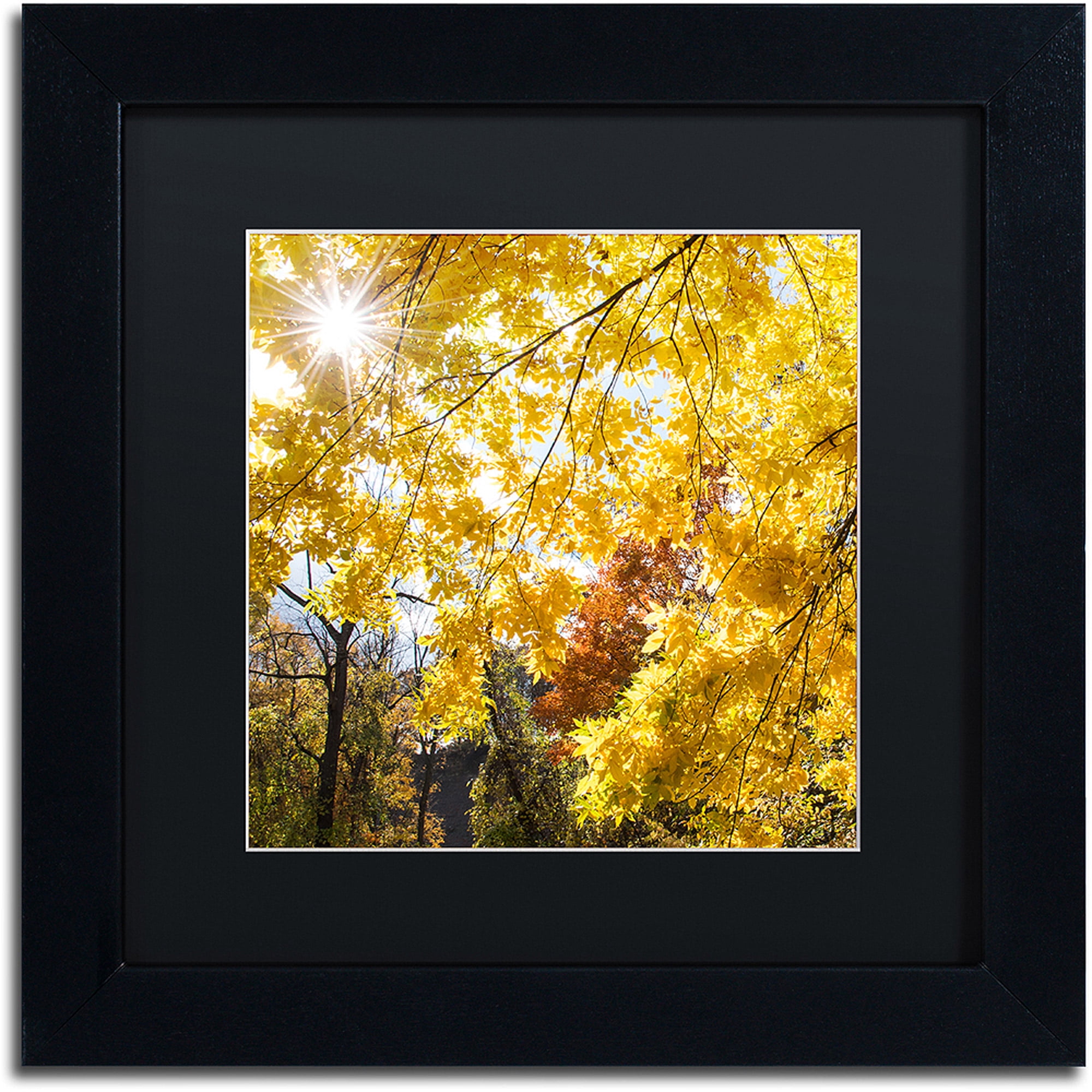Trademark Fine Art "Sunny Happy Autumn Day" Canvas Art by Kurt Shaffer, Black Matte, Black Frame