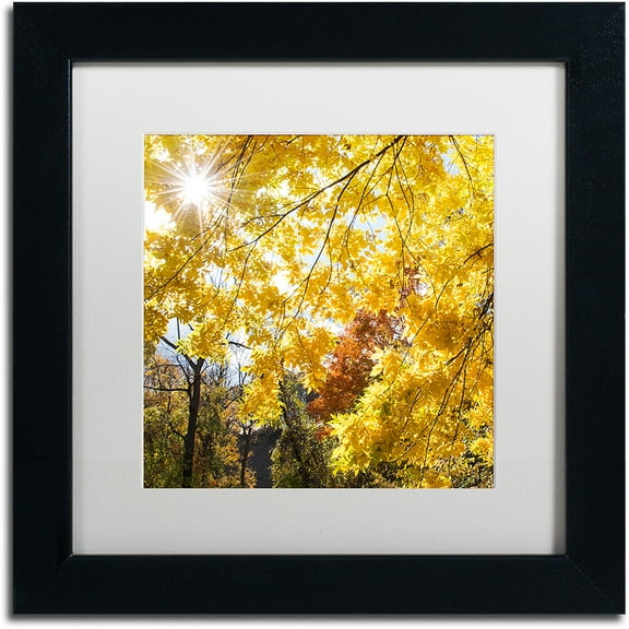 Trademark Fine Art "Sunny Happy Autumn Day" Canvas Art by Kurt Shaffer, White Matte, Black Frame
