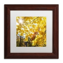 Trademark Fine Art "Sunny Happy Autumn Day" Canvas Art by Kurt Shaffer, White Matte, Wood Frame