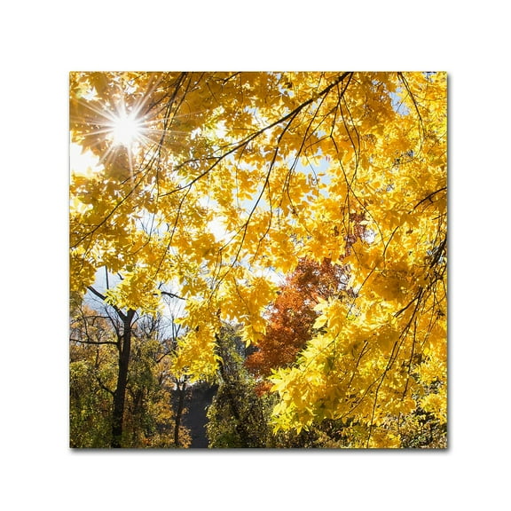 Trademark Fine Art "Sunny Happy Autumn Day" Canvas Art by Kurt Shaffer