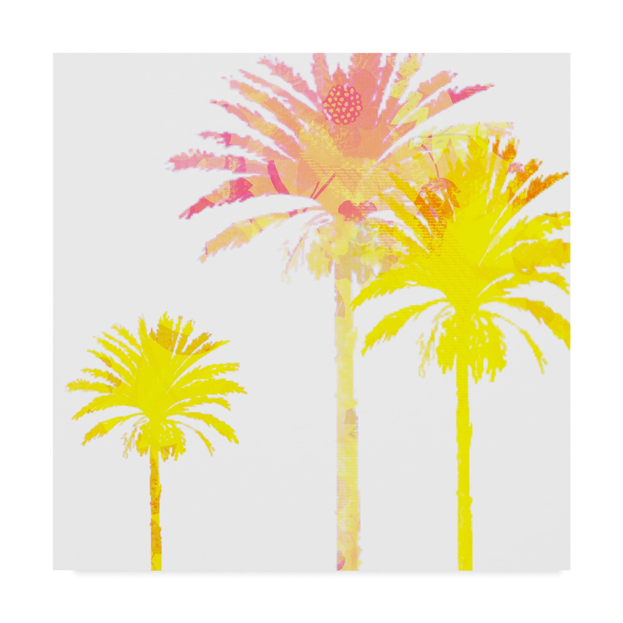 Trademark Fine Art 'Sunny Palm I' Canvas Art by Ricki Mountain