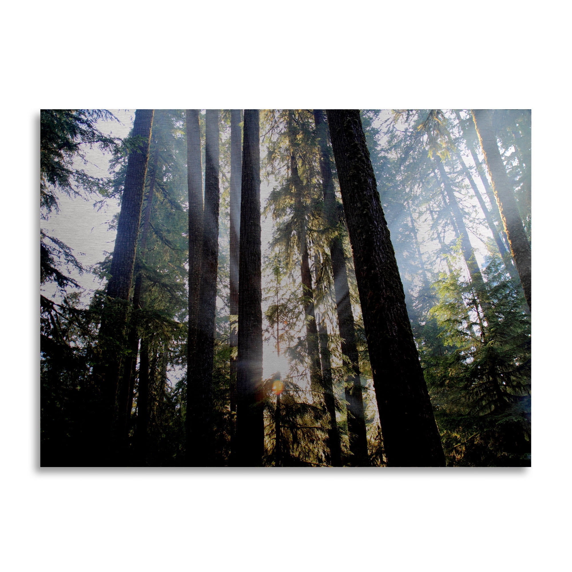 Trademark Fine Art 'Sunrays' Brushed Aluminum Wall Art Art by Pierre Leclerc