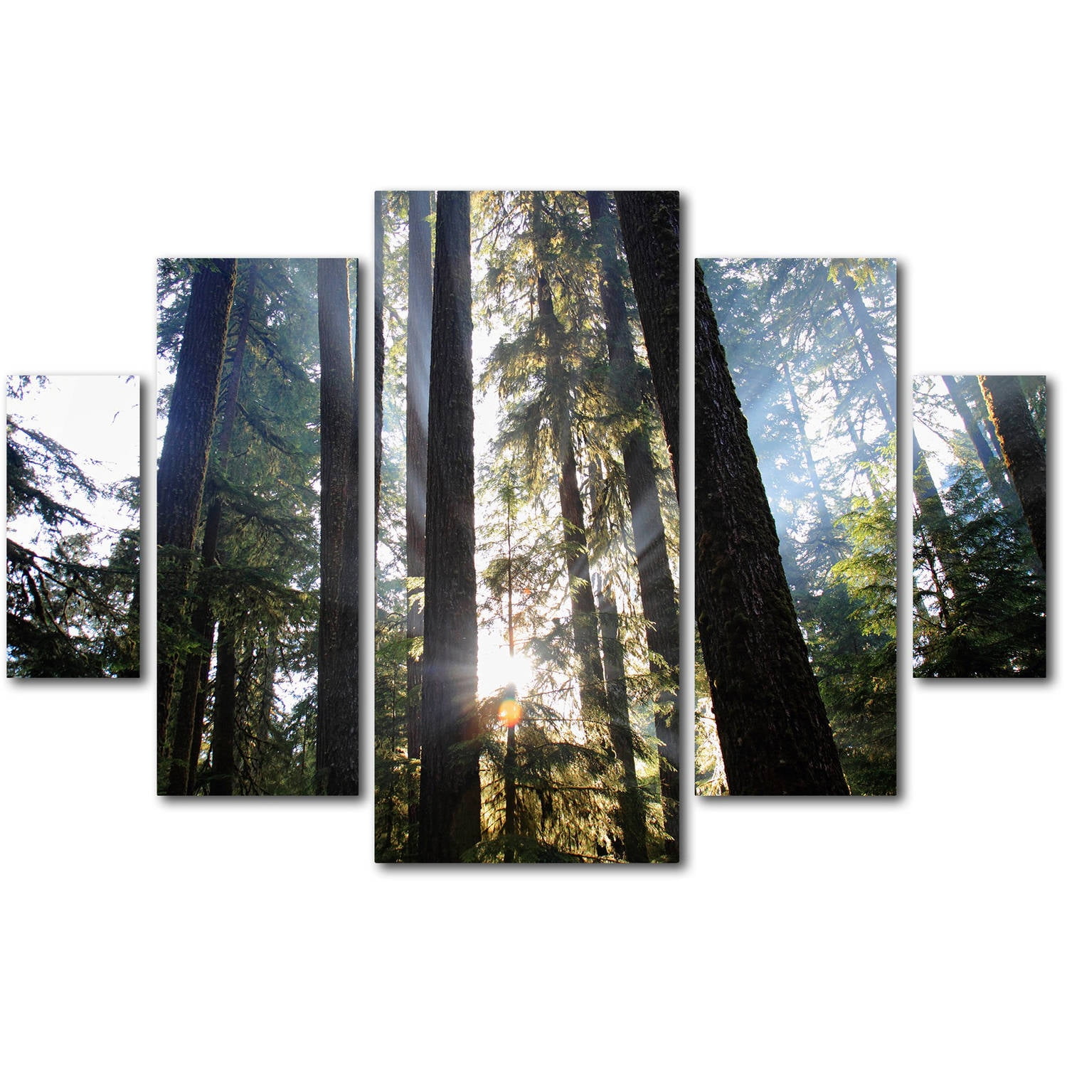 Trademark Fine Art "Sunrays" Canvas Art by Pierre Leclerc 5-Piece Multi-Panel Art Set