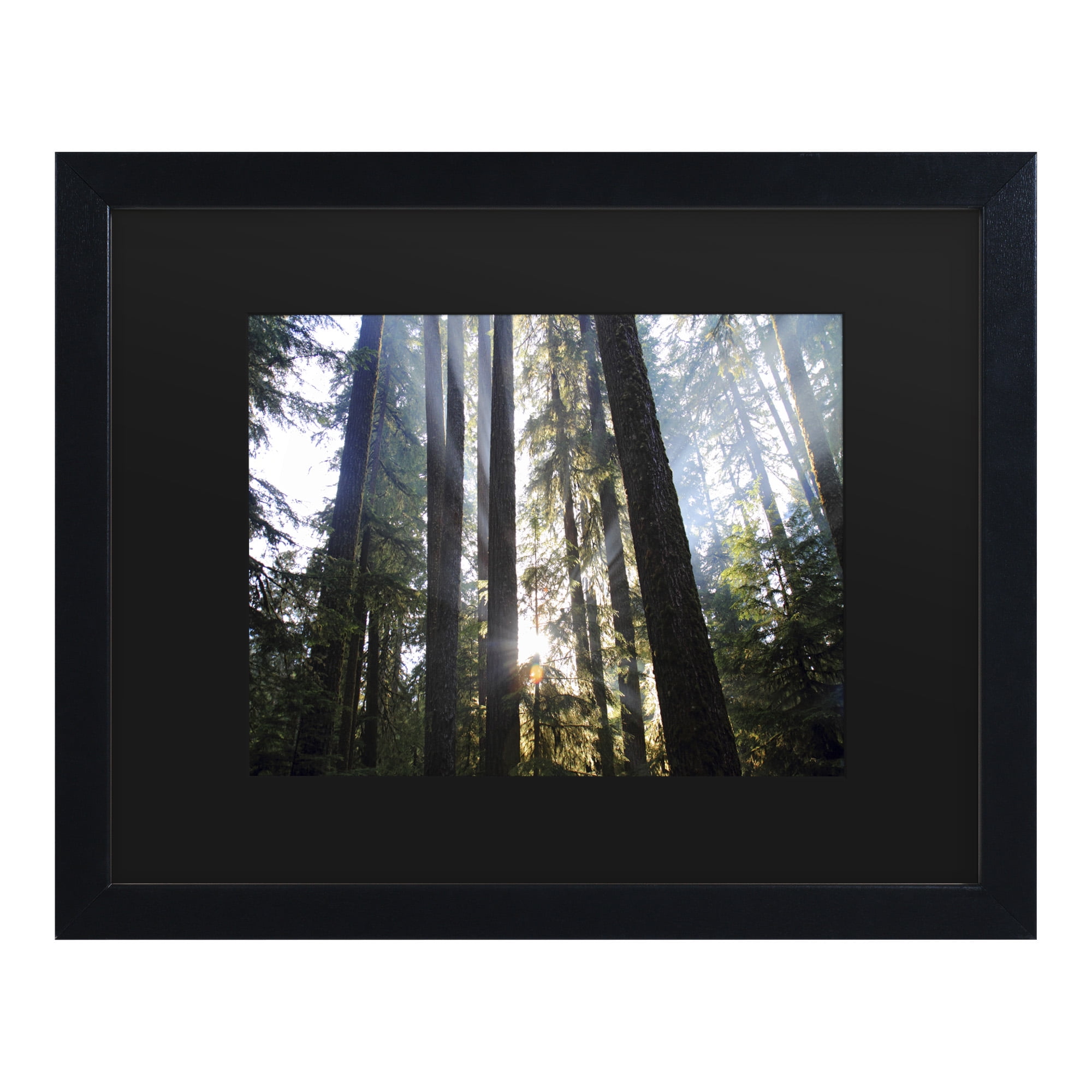 Trademark Fine Art 'Sunrays' Canvas Art by Pierre Leclerc