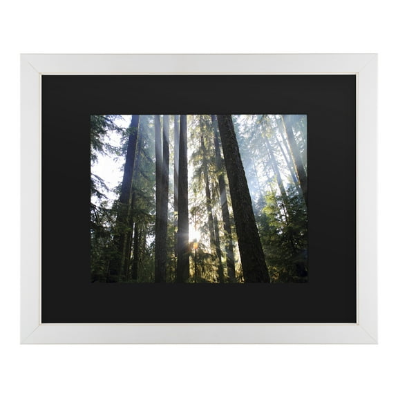 Trademark Fine Art 'Sunrays' Canvas Art by Pierre Leclerc