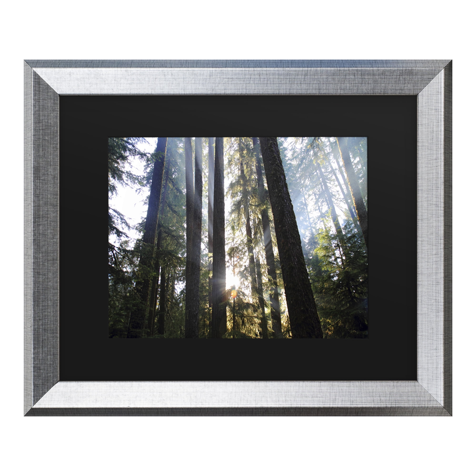 Trademark Fine Art 'Sunrays' Canvas Art by Pierre Leclerc