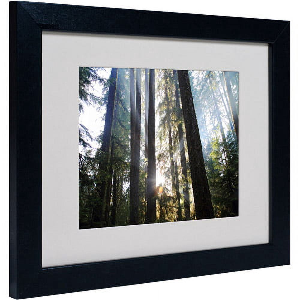 Trademark Fine Art "Sunrays" Matted Framed Art by Pierre Leclerc