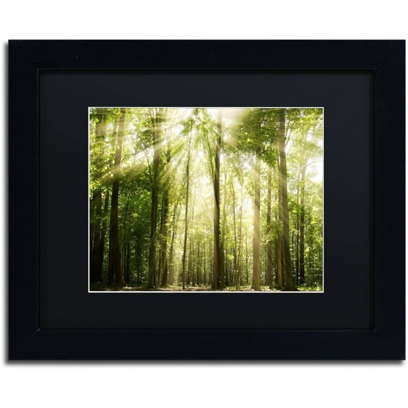 Trademark Fine Art 'Sunrays Through Treetops' Canvas Art by PIPA Fine Art, Black Matte, Black Frame