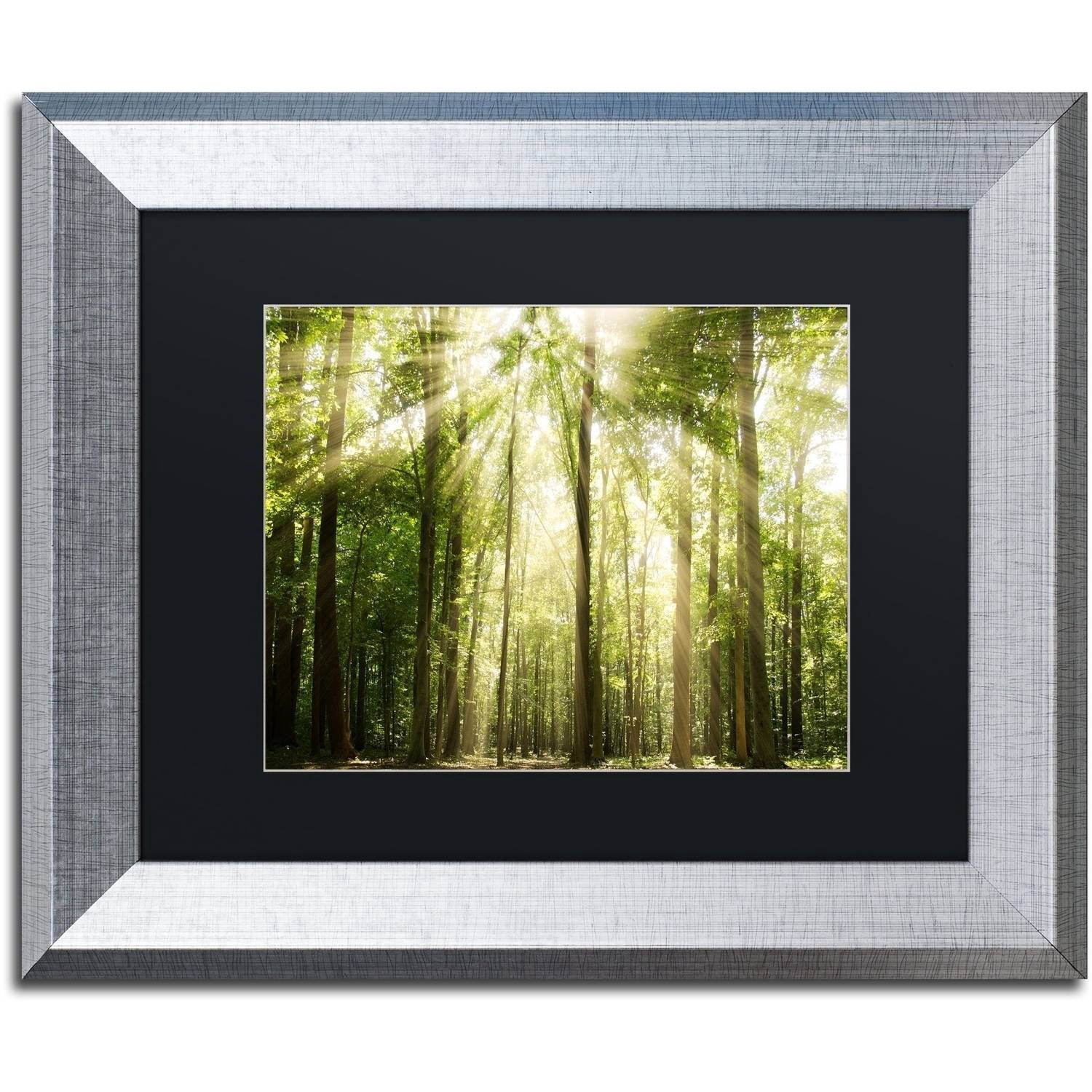 Trademark Fine Art 'Sunrays Through Treetops' Canvas Art by PIPA Fine Art, Black Matte, Silver Frame