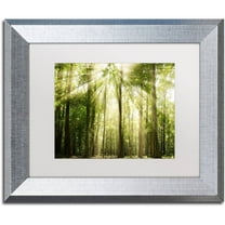Trademark Fine Art 'Sunrays Through Treetops' Canvas Art by PIPA Fine Art, White Matte, Silver Frame