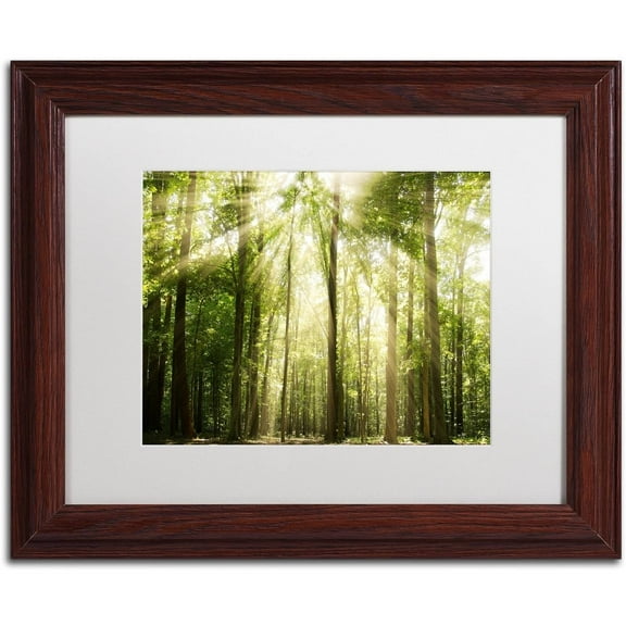 Trademark Fine Art 'Sunrays Through Treetops' Canvas Art by PIPA Fine Art, White Matte, Wood Frame