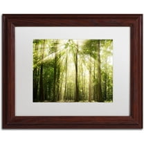 Trademark Fine Art 'Sunrays Through Treetops' Canvas Art by PIPA Fine Art, White Matte, Wood Frame