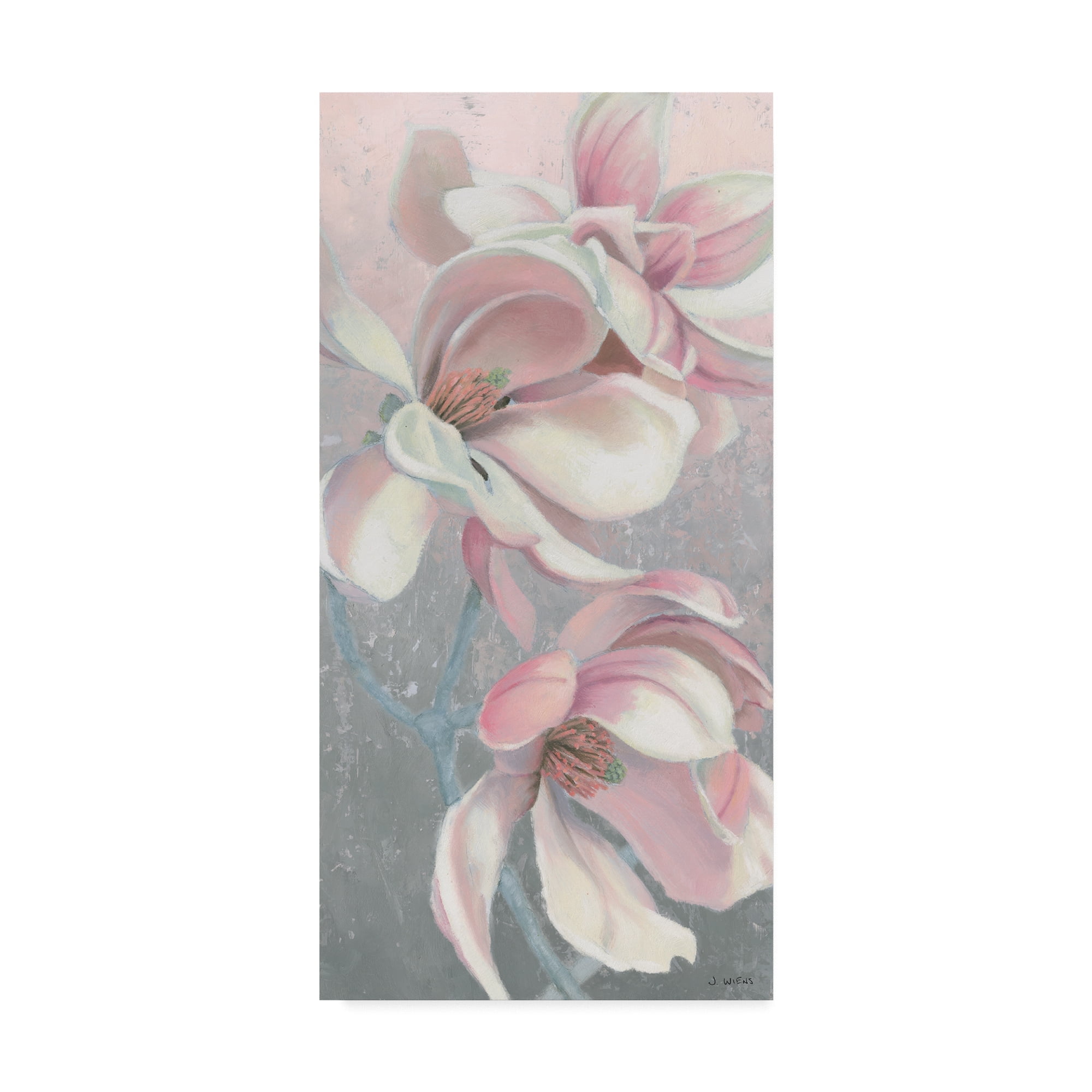 Trademark Fine Art 'Sunrise Blossom I' Canvas Art by James Wiens
