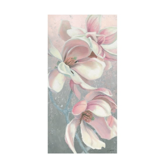 Trademark Fine Art 'Sunrise Blossom I' Canvas Art by James Wiens