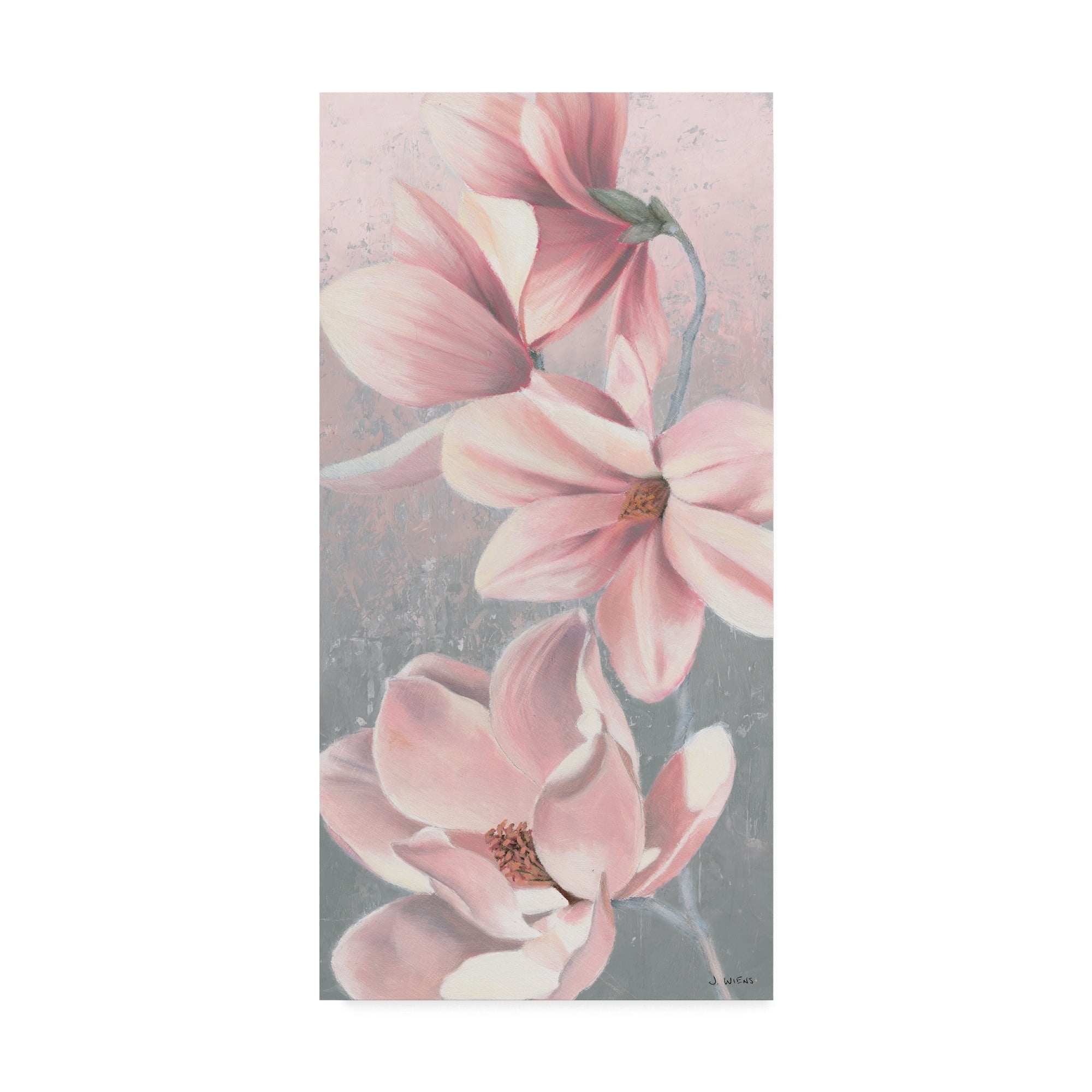 James Wiens 'Sunrise Blossom Ii' Canvas Art