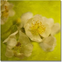 Trademark Fine Art "Sunrise II" Canvas Wall Art by Lois Bryan