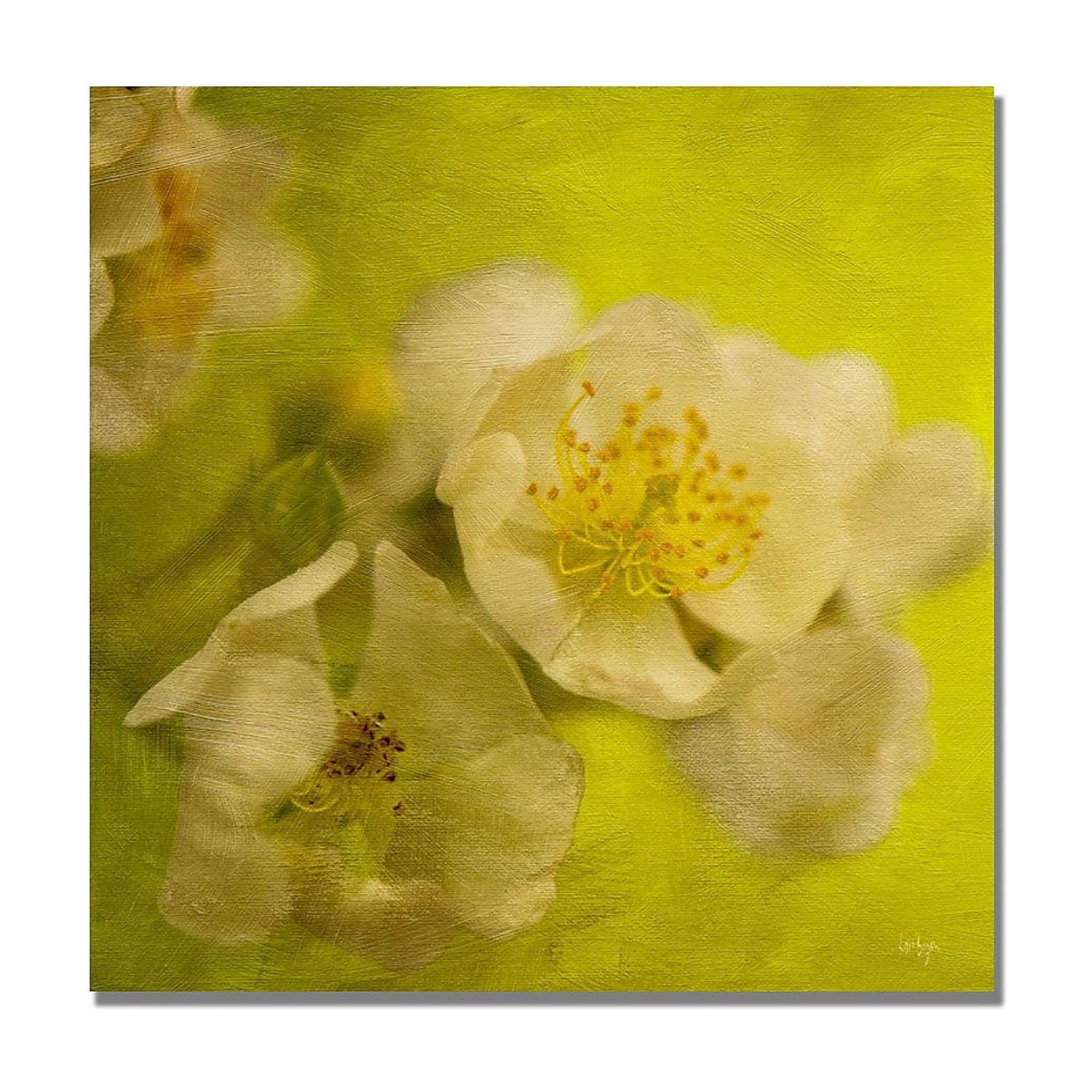 Trademark Fine Art "Sunrise II" Canvas Wall Art by Lois Bryan