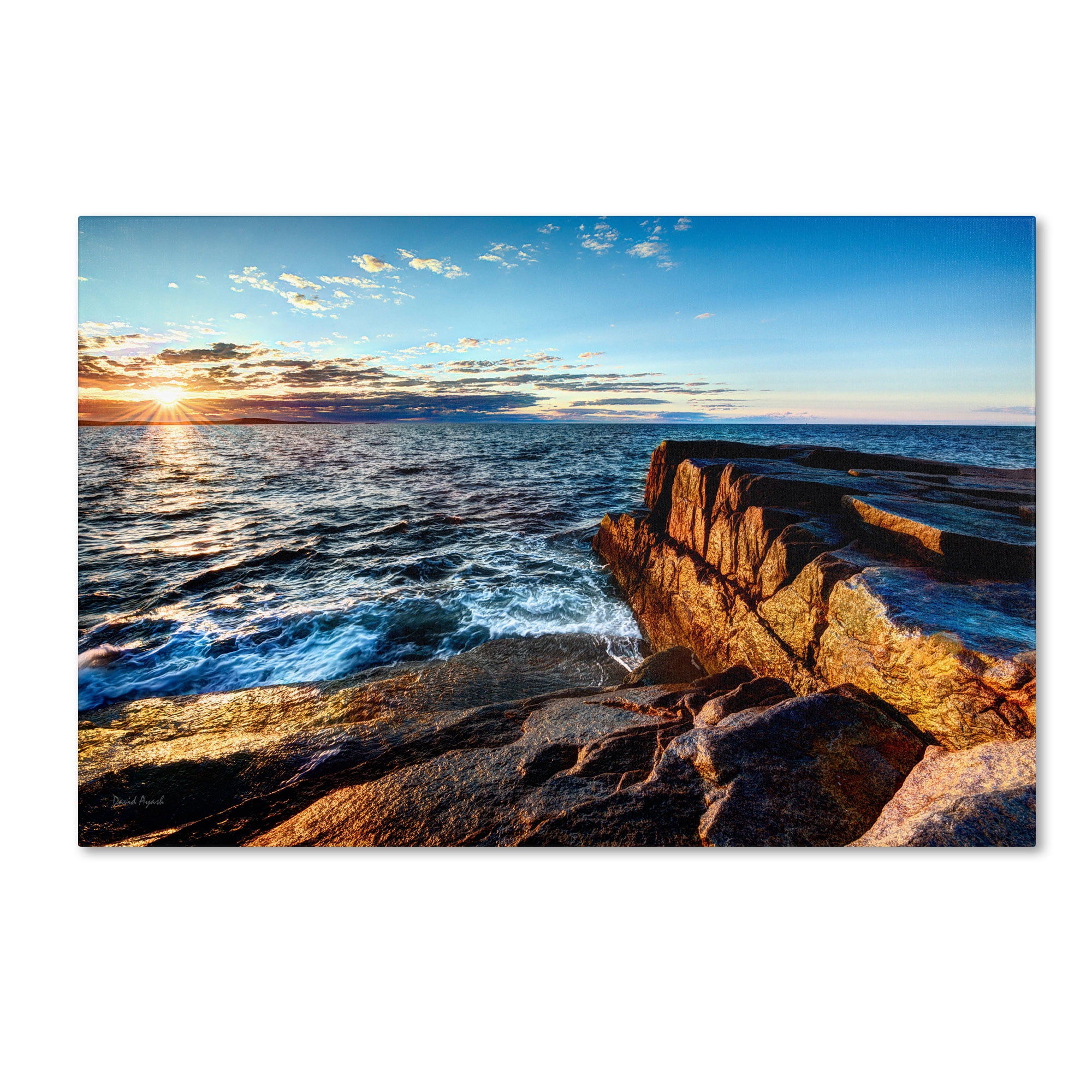 Trademark Fine Art "Sunrise Over the Atlantic in Maine" Canvas Art by David Ayash