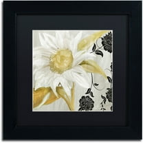 Trademark Fine Art "Sunroom I" Canvas Art by Color Bakery Black Matte, Black Frame