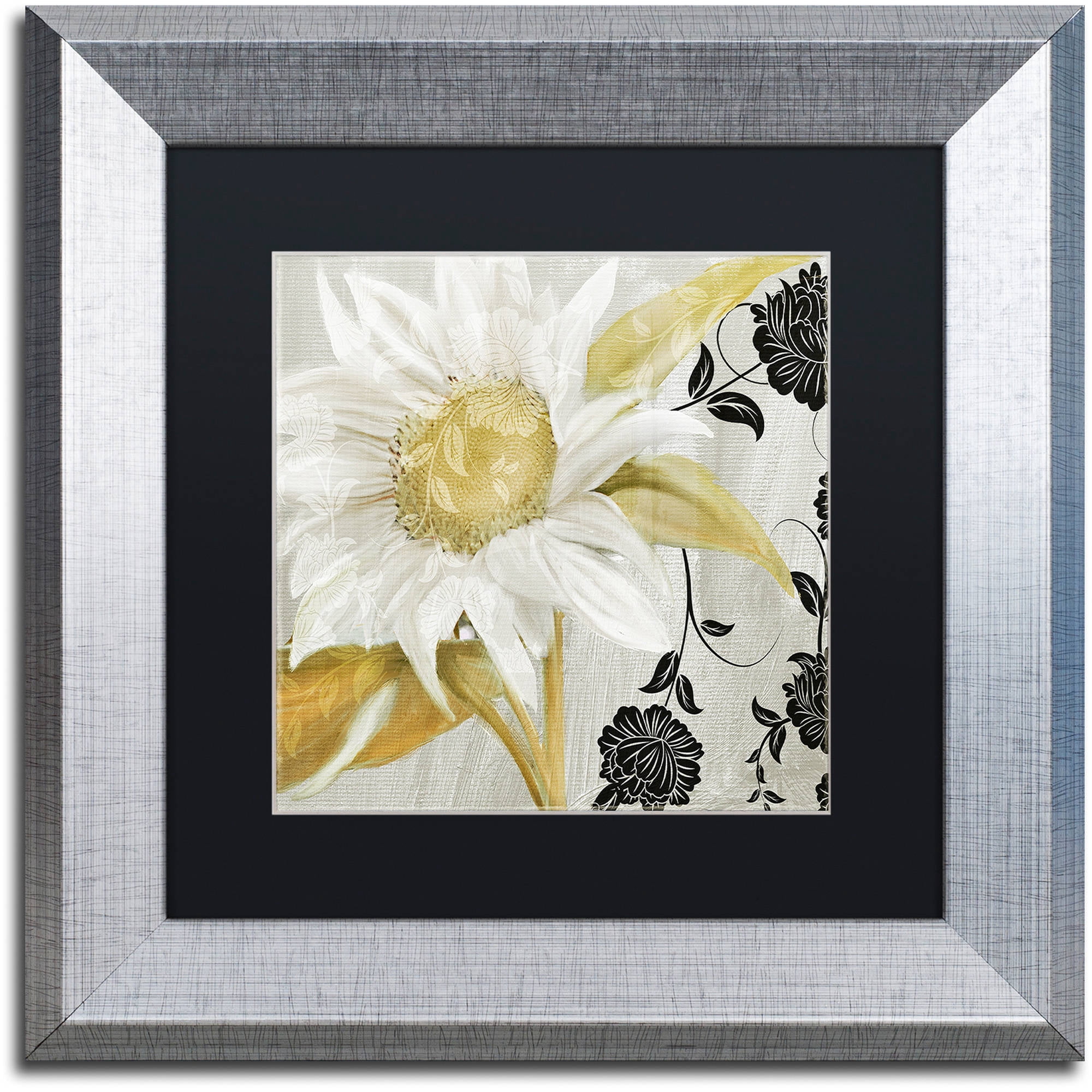 Trademark Fine Art "Sunroom I" Canvas Art by Color Bakery Black Matte, Silver Frame