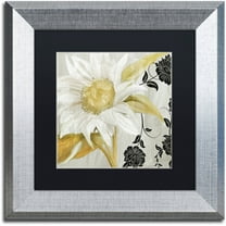 Trademark Fine Art "Sunroom I" Canvas Art by Color Bakery Black Matte, Silver Frame